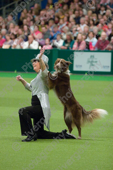 IMG 7580 
 Keywords: 2008, Arena, Display, NEC, birmingham, canine freestyle, crufts, dancing, dogs, heelwork to music, htm, march, performance