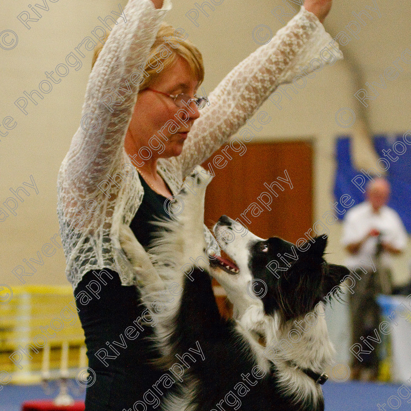 AWC 6487-2 
 Keywords: 2009, Barnard Castle, County Durham, DL12 8DS, Judges: Jackie Clarke, May, Northern Mutts N Music, Royal Canin, Starters Freestyle, Strathmore Road, Teesdale Sports Centre, canine freestyle, competition, heelwork to music