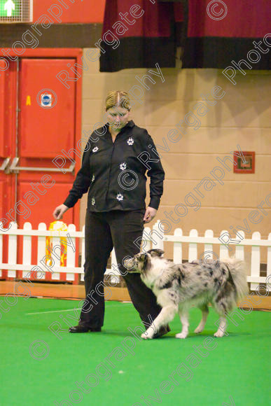 IMG 8530 
 Heelwork to Music and Canine Freestyle Competitions held at Westglen in April 2008 
 Keywords: 2008, Bilford Road, Perdiswell Leisure Centre, WR3 8DX, Worcester, april, competition, heelwork to music, westglen, helen taylor