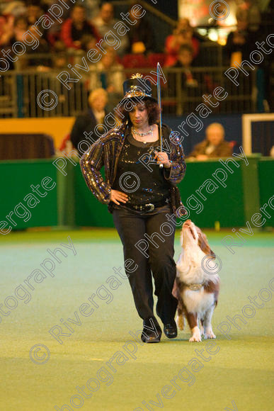 IMG 7350 
 Ann De Rizzio with Stillmoor Touch of Spice performing at Crufts 2008 in the Arena at the NEC Birmingham 
 Keywords: 2008, Arena, BC, Display, NEC, Stillmoor Touch of Spice, ann de rizzio, birmingham, border collie, canine freestyle, crufts, dancing, dogs, heelwork to music, htm, march, performance