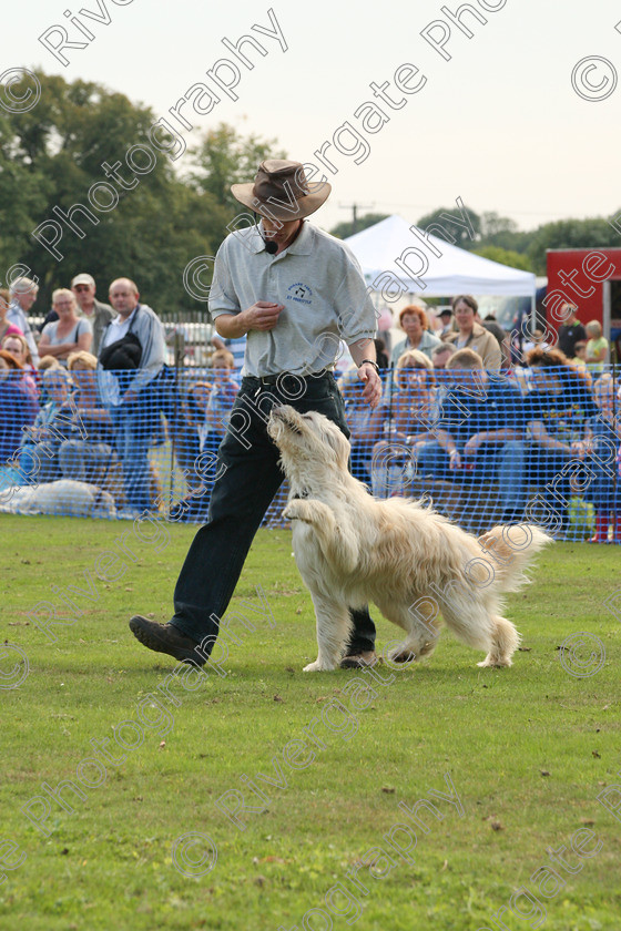 AWC 6980 
 Keywords: 2010, Chobham, Millbrook Animal Centre, RSPCA, Richard Curtis, arena demonstration, september