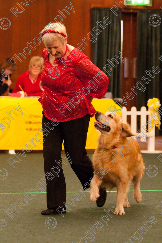 AWC 2791 
 Keywords: 2010, Intermediate Freestyle Part 2, Jeanette Fyfe, april, heelwork to music, westglen