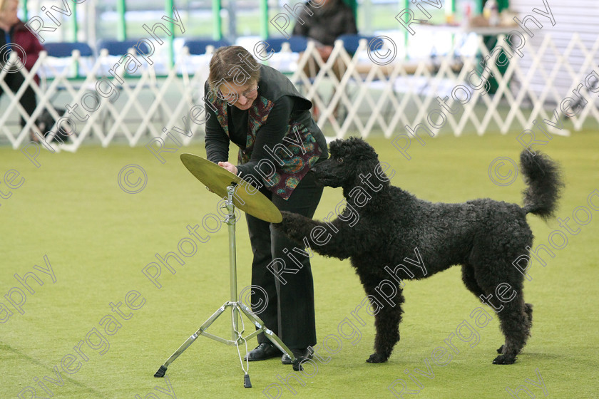 AWC 0244 
 Keywords: heelwork to music competition, rugby dog club