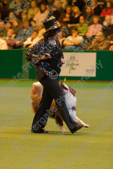 IMG 7367 
 Ann De Rizzio with Stillmoor Touch of Spice performing at Crufts 2008 in the Arena at the NEC Birmingham 
 Keywords: 2008, Arena, BC, Display, NEC, Stillmoor Touch of Spice, ann de rizzio, birmingham, border collie, canine freestyle, crufts, dancing, dogs, heelwork to music, htm, march, performance