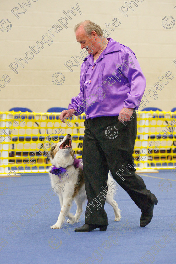 AWC 5779 
 Keywords: 2009, Barnard Castle, County Durham, DL12 8DS, Lady Cas of Long Bridge, May, Northern Mutts N Music, Novice Heelwork to Music, Phil Dunford, Royal Canin, Strathmore Road, Teesdale Sports Centre, canine freestyle, competition, heelwork to music