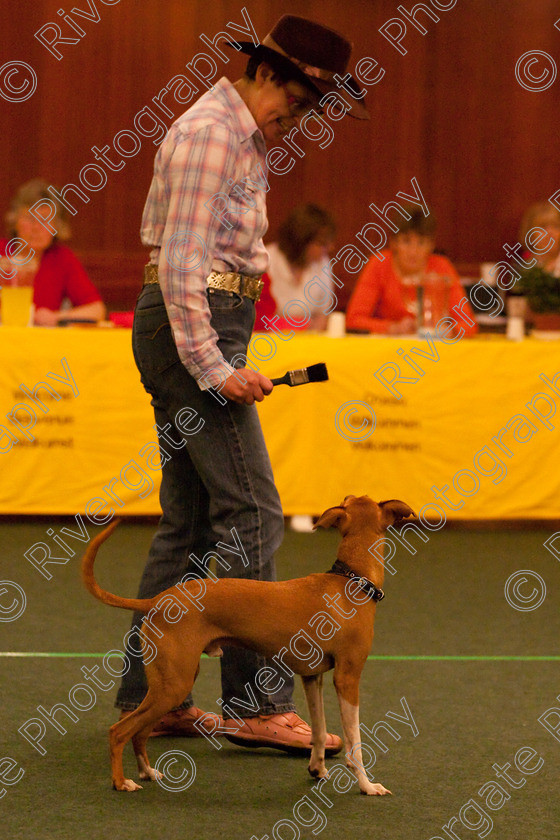 AWC 2709 
 Keywords: 2010, Intermediate Freestyle, april, heelwork to music, valerie perkins, westglen