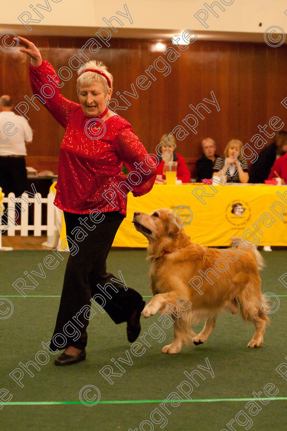 AWC 2792 
 Keywords: 2010, Intermediate Freestyle Part 2, Jeanette Fyfe, april, heelwork to music, westglen