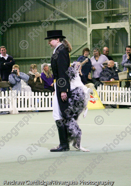 IMG 1099 
 Heelwork to Music and Canine Freestyle events and competition in 2005 held at the Connexion Leisure Centre, Ryton-on-Dunsmore, Coventry. 
 Keywords: 2005, UK, competition, coventry, dog, dog dancing, dog sport, february, heelwork to music, k9freestyle, ryton on dunsmore, tina humphrey