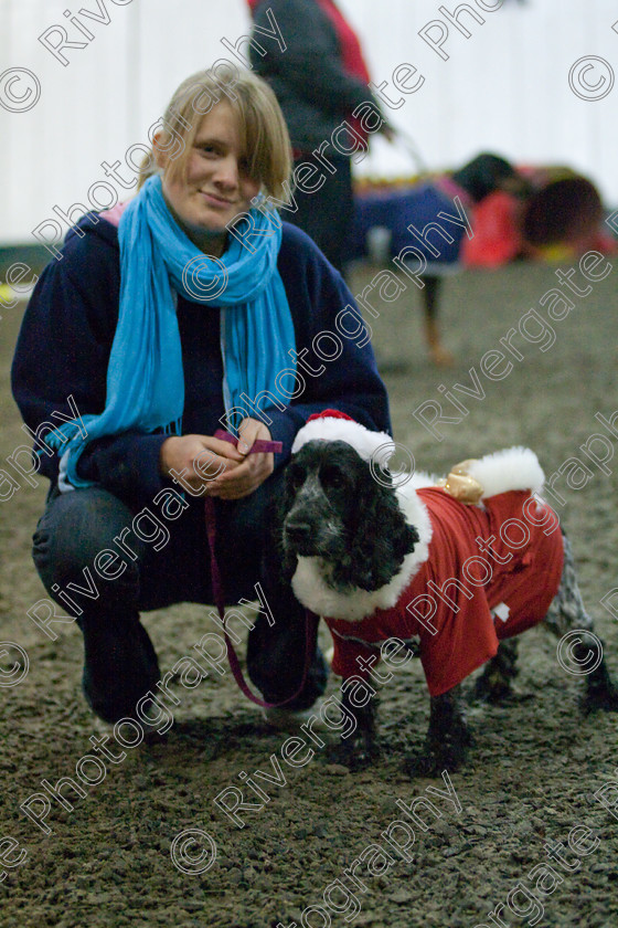 AWC 8067 
 Keywords: 2009, Fancy Dress, Xmas Party, december, dogs, wellow agility club