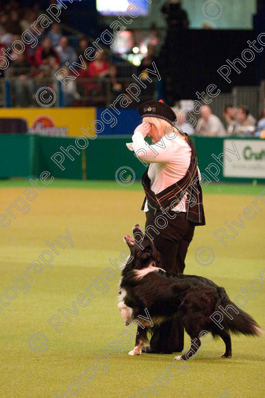 IMG 7346 
 Keywords: 2008, Arena, BC, Display, Kinaway Doctor Watson, NEC, birmingham, border collie, canine freestyle, carole dodson, crufts, dancing, dogs, heelwork to music, htm, march, performance