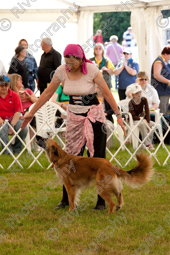 AWC 7954 
 Keywords: 2009, England, June, MDS Ltd, Paws in the Park, UK, broadlands, competition, hampshire, heelwork to music, paws and music, paws n music, romsey