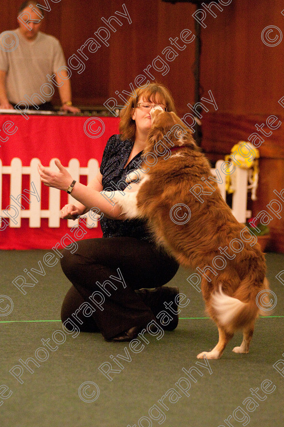 AWC 2291 
 Keywords: 2010, april, competition, gail moore, heelwork to music, novice heelwork to music part 2, west glen