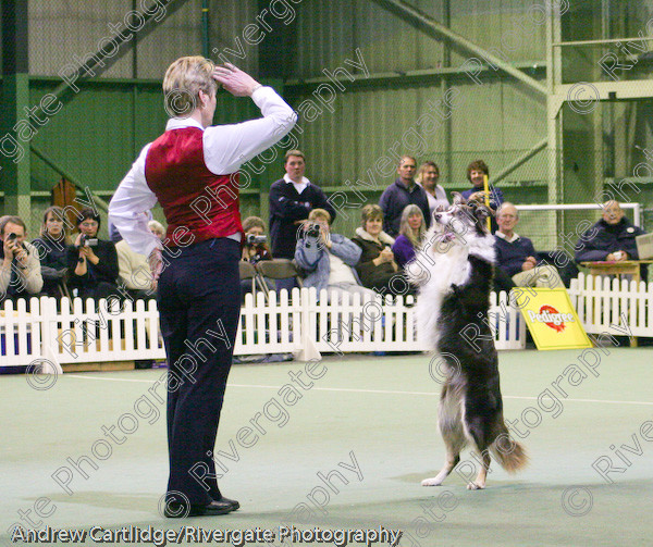 IMG 1116 
 Heelwork to Music and Canine Freestyle events and competition in 2005 held at the Connexion Leisure Centre, Ryton-on-Dunsmore, Coventry. 
 Keywords: 2005, UK, competition, coventry, dog, dog dancing, dog sport, february, heelwork to music, k9freestyle, mary ray, ryton on dunsmore