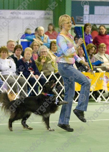 IMG 6819 
 Keywords: 2008, K9 Freestyle, Rugby DTC, canine freestyle, competition, connexions leisure centre, coventry, dancing dogs, february, heelwork to music, k9freestylegb, ryton on dunsmore