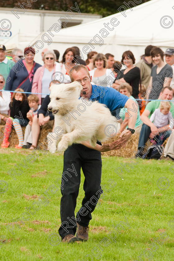 AWC 1381 
 Wanborough Country Show, August 2009, Richard Curtis' K9freestyle Dancing Dog Arena Display 
 Keywords: 2009, arena demonstration, arena display, august, canine freestyle, dog dancing, dog display, England, heelwork to music, k9freestyle, Lynch Field, Lynch Field, Wanborough, Wiltshire, England, UK, richard curtis, UK, wanborough country show, Wanborough, Wiltshire