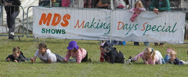 IMG 0307-01 
 Paws in the Park, 2005 MDS Shows Ltd Canford Park Arena, Poole, Dorset.