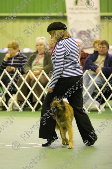 IMG 5813 
 Keywords: 2008, K9 Freestyle, Rugby DTC, canine freestyle, competition, connexions leisure centre, coventry, dancing dogs, february, heelwork to music, , ryton on dunsmore