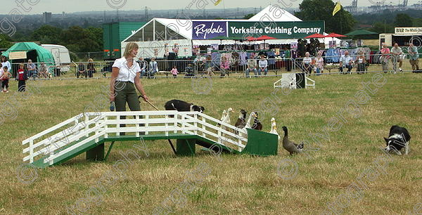 PICT0236 
 Netley Marsh Home and Garden Show 2005, arena demonstrations and displays 
 Keywords: Netley Marsh Home and Garden Show 2005, arena demonstrations and displays