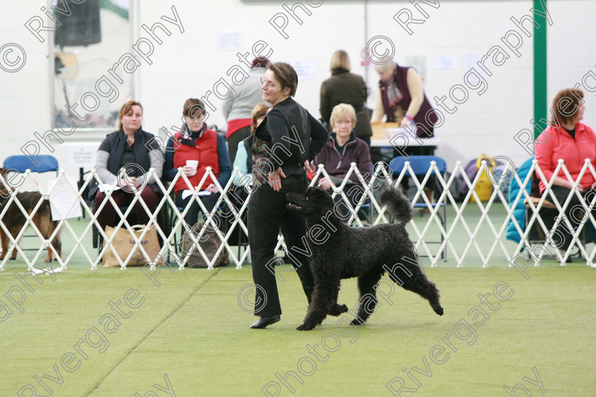 AWC 0246 
 Keywords: heelwork to music competition, rugby dog club