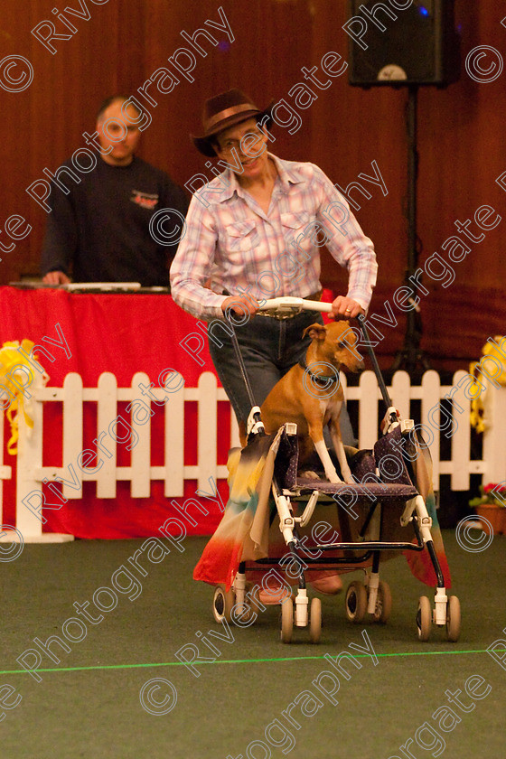 AWC 2701 
 Keywords: 2010, Intermediate Freestyle, april, heelwork to music, valerie perkins, westglen