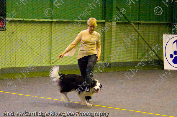 IMG 0119 
 Heelwork to Music and Canine Freestyle events and competition in 2005 held at the Connexion Leisure Centre, Ryton-on-Dunsmore, Coventry. 
 Keywords: 2005, June, UK, competition, coventry, dog, dog dancing, dog sport, gina pink, heelwork to music, k9freestyle, ryton on dunsmore