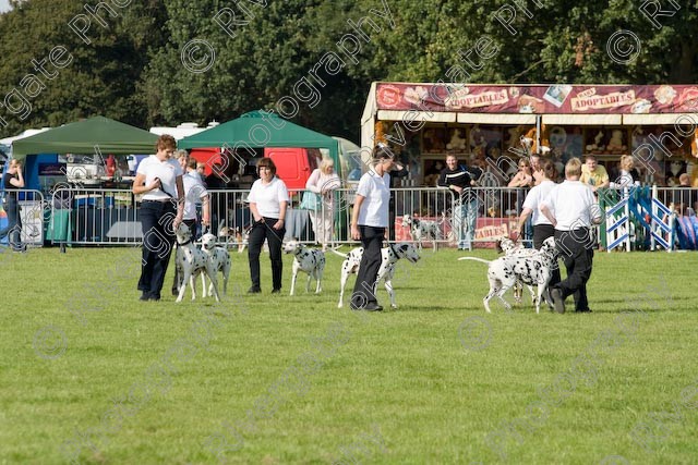 AWC 1026 
 Paws in the Park 2008 at The Hop Farm, Paddock Wood, Kent, organised by MDS Ltd 
 Keywords: 2008, paddock wood, paws in the park, september