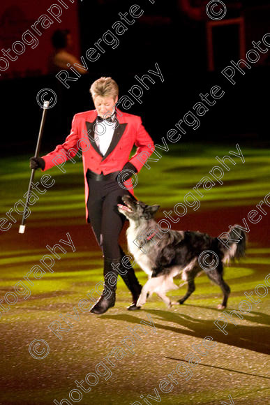 IMG 8225 
 Keywords: 2008, Arena, Display, NEC, birmingham, canine freestyle, crufts, dancing, dogs, heelwork to music, htm, march, performance