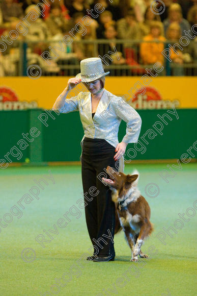 IMG 7542 
 Keywords: 2008, Arena, Display, NEC, birmingham, canine freestyle, crufts, dancing, dogs, heelwork to music, htm, march, performance