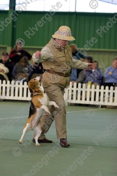 IMG 0022 
 Heelwork to Music and Canine Freestyle events and competition in 2006 held at the Connexion Leisure Centre, Ryton-on-Dunsmore, Coventry. 
 Keywords: 2006, UK, competition, coventry, dog, dog dancing, dog sport, february, heelwork to music, k9freestyle, ryton on dunsmore