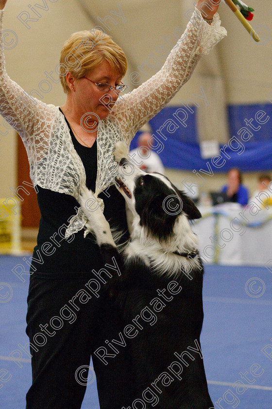 AWC 6489 
 Keywords: 2009, Barnard Castle, County Durham, DL12 8DS, Judges: Jackie Clarke, May, Northern Mutts N Music, Royal Canin, Starters Freestyle, Strathmore Road, Teesdale Sports Centre, canine freestyle, competition, heelwork to music