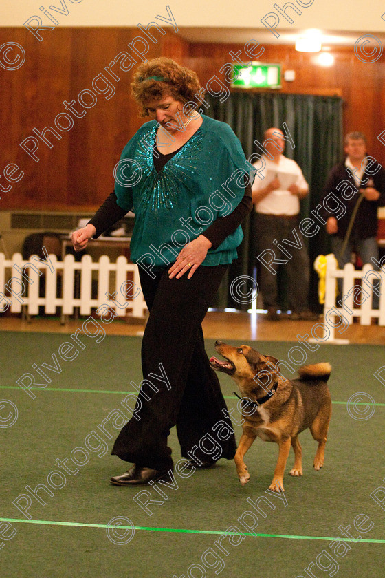 AWC 2308 
 Keywords: 2010, Dee Speight, april, competition, heelwork to music, lynda smith, novice heelwork to music part 2, west glen