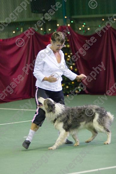 IMG 2688 
 Keywords: 2008, canine freestyle, competition, connexions leisure centre, coventry, dancing with dogs, december, freestyle, heelwork to music, january, paws and music, paws n music, ryton, ryton on dunsmore, Linda Glover, WSD, working sheepdog