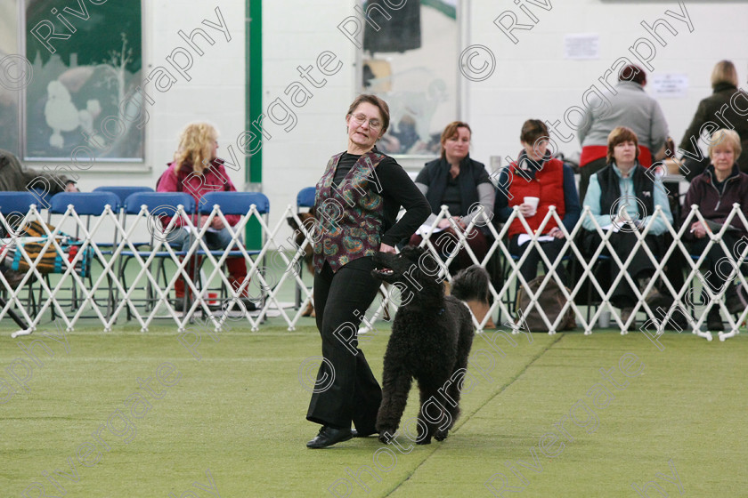 AWC 0248 
 Keywords: heelwork to music competition, rugby dog club