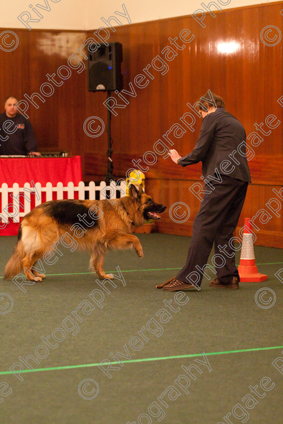 AWC 2503 
 Keywords: 2010, Advanced Freestyle Part 1, april, heelwork to music, sue betteridge, westglen