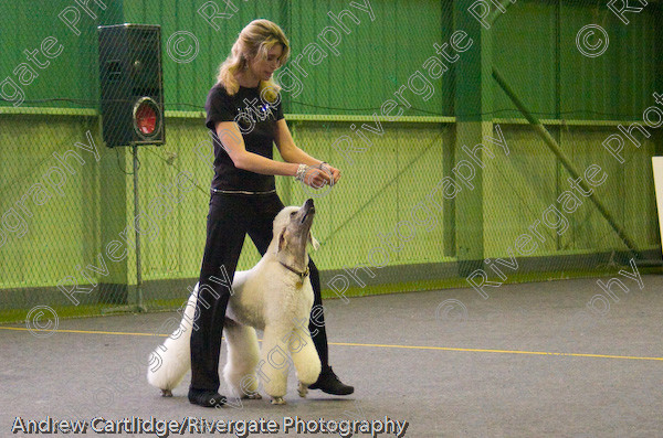 IMG 0129 
 Heelwork to Music and Canine Freestyle events and competition in 2005 held at the Connexion Leisure Centre, Ryton-on-Dunsmore, Coventry. 
 Keywords: 2005, June, UK, competition, coventry, dog, dog dancing, dog sport, heelwork to music, k9freestyle, ryton on dunsmore