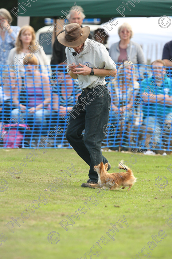 AWC 7053 
 Keywords: 2010, Chobham, Millbrook Animal Centre, RSPCA, Richard Curtis, arena demonstration, september