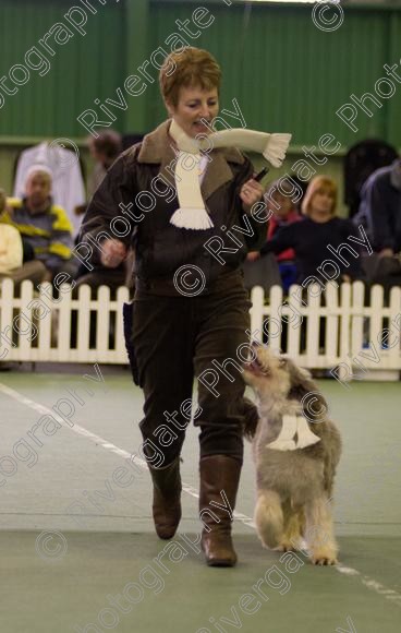 IMG 0165 
 Heelwork to Music and Canine Freestyle events and competition in 2006 held at the Connexion Leisure Centre, Ryton-on-Dunsmore, Coventry. 
 Keywords: 2006, UK, competition, coventry, dog, dog dancing, dog sport, february, heelwork to music, k9freestyle, ryton on dunsmore