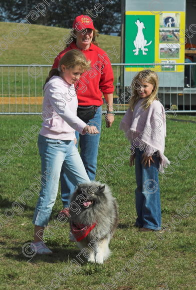 IMG 0281-01 
 Paws in the Park, 2005 MDS Shows Ltd Canford Park Arena, Poole, Dorset.