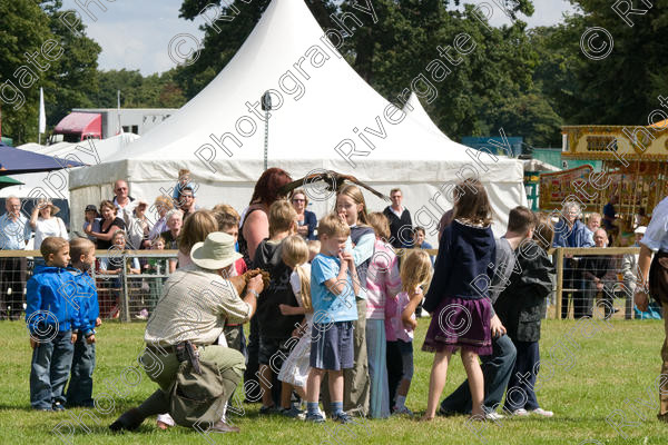 IMG 3506 
 Hatfield House Country Show 2008 Birds of Prey and Falconry 
 Keywords: Hatfield House Country Show, Birds of Prey, Falconry, Arena Demonstration, James McKay and son.