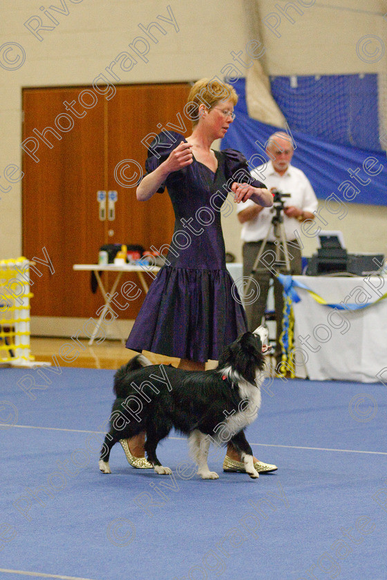 AWC 6121 
 Keywords: 2009, Advanced Heelwork to Music, Barnard Castle, Cathy Bates, County Durham, Crufts Semi-final Qualifier, DL12 8DS, May, Northern Mutts N Music, Royal Canin, Rusnsol Ruby, Strathmore Road, Teesdale Sports Centre, canine freestyle, competition, heelwork to music, working sheepdog