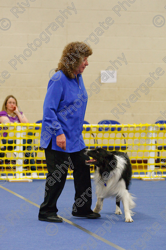 AWC 5860 
 Keywords: 2009, Barnard Castle, County Durham, DL12 8DS, Intermediate Heelwork to Music, May, Northern Mutts N Music, Paula Ackray, Royal Canin, Stillmore My Quest, Strathmore Road, Teesdale Sports Centre, border collie, canine freestyle, competition, heelwork to music