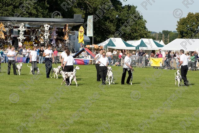 AWC 1031 
 Paws in the Park 2008 at The Hop Farm, Paddock Wood, Kent, organised by MDS Ltd 
 Keywords: 2008, paddock wood, paws in the park, september