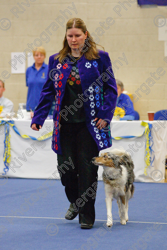 AWC 6113 
 Keywords: 2009, Advanced Heelwork to Music, Barnard Castle, Border Collier, County Durham, Crufts Semi-final Qualifier, DL12 8DS, Helen Taylor, May, Northern Mutts N Music, Royal Canin, Strathmore Road, Teesdale Sports Centre, Wirling Wobbler, canine freestyle, competition, heelwork to music