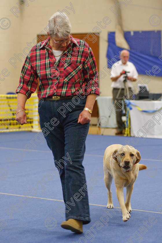 AWC 5785 
 Keywords: 2009, Barnard Castle, County Durham, DL12 8DS, May, Northern Mutts N Music, Novice Heelwork to Music, Royal Canin, Star Light Girl, Strathmore Road, Teesdale Sports Centre, bev williamson, canine freestyle, competition, heelwork to music, labrador