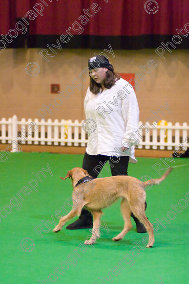 IMG 8676 
 Heelwork to Music and Canine Freestyle Competitions held at Westglen in April 2008 
 Keywords: 2008, Bilford Road, Perdiswell Leisure Centre, WR3 8DX, Worcester, april, competition, heelwork to music, westglen, hannah crook, advanced, htm