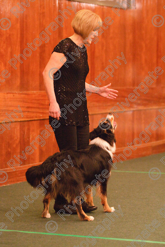 AWC 2015 
 Keywords: 2010, april, competition, heelwork to music, intermediate heelwork to music part 1, mary muxworthy, westglen