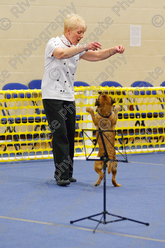 AWC 6312 
 Keywords: 2009, Anita Hartland, Ann Mavin, Barnard Castle, Border Terrier, County Durham, DL12 8DS, Foxcraig Minstrel, Judges Jeanette Fyfe, May, Northern Mutts N Music, Royal Canin, Starters Freestyle, Strathmore Road, Teesdale Sports Centre, canine freestyle, competition, heelwork to music, penny draper