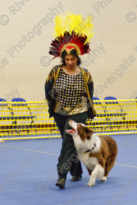 AWC 6092 
 Keywords: 2009, Advanced Heelwork to Music, Ann Derizzio, Barnard Castle, County Durham, Crufts Semi-final Qualifier, DL12 8DS, May, Northern Mutts N Music, Royal Canin, Stillmoor Touch of Spice, Strathmore Road, Teesdale Sports Centre, border collie, canine freestyle, competition, heelwork to music