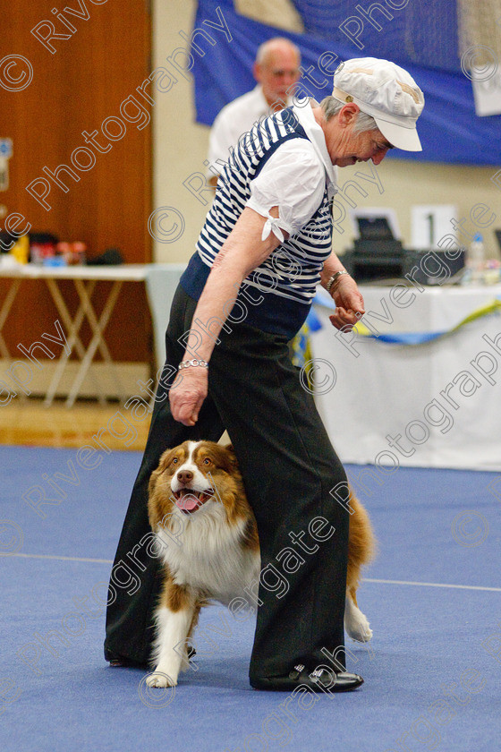 AWC 6451 
 Keywords: 2009, Barnard Castle, County Durham, DL12 8DS, Judges: Jackie Clarke, May, Northern Mutts N Music, Royal Canin, Starters Freestyle, Strathmore Road, Teesdale Sports Centre, canine freestyle, competition, heelwork to music