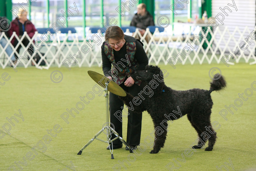 AWC 0242 
 Keywords: heelwork to music competition, rugby dog club